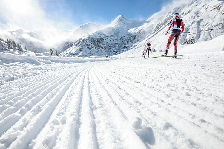 Bild zeigt mehrere Langläufer im Winter