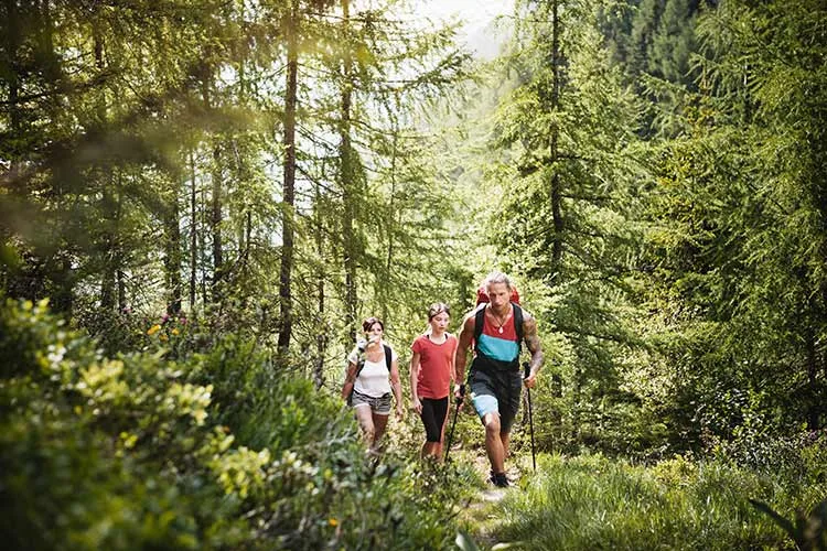Bild zeigt Wanderer in der Natur