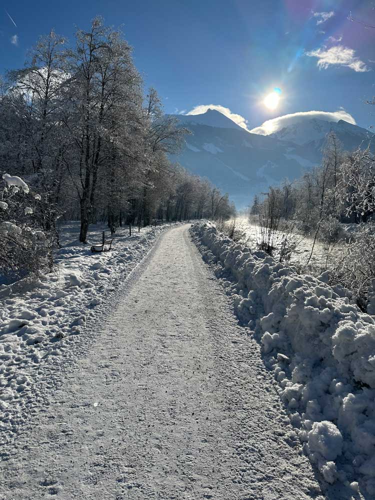 Verschneiter Weg