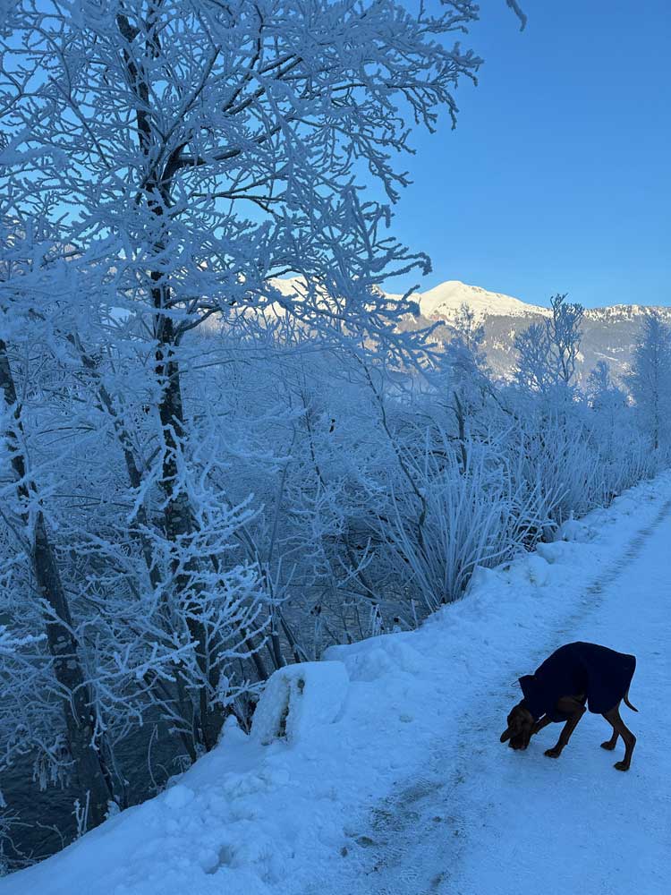 Winterlandschaft